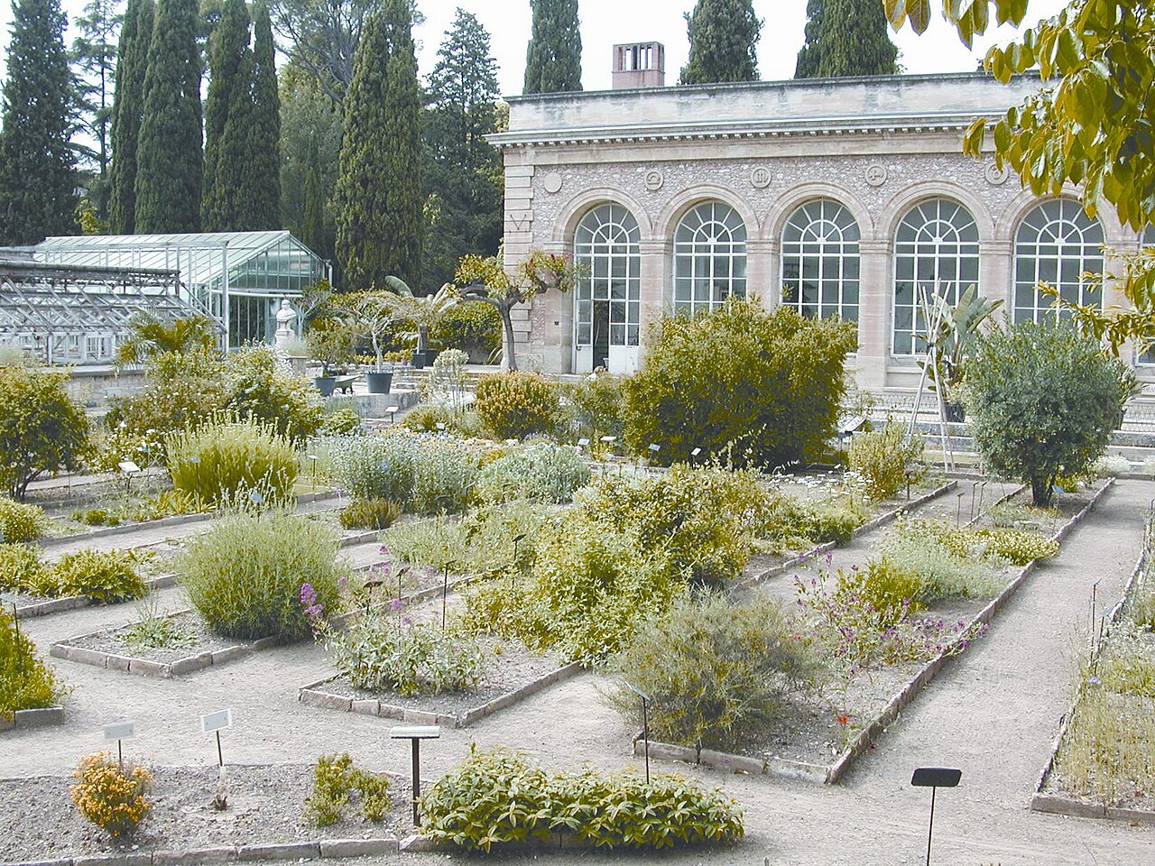 Orangerie und Gewächshäuser des Jardin des plantes de Montpellier, Montpellier, Okzitanien