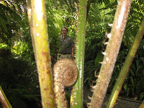 Gewächshäuser du Jardin botanique de Munich-Nymphenburg, Munich, Bavière