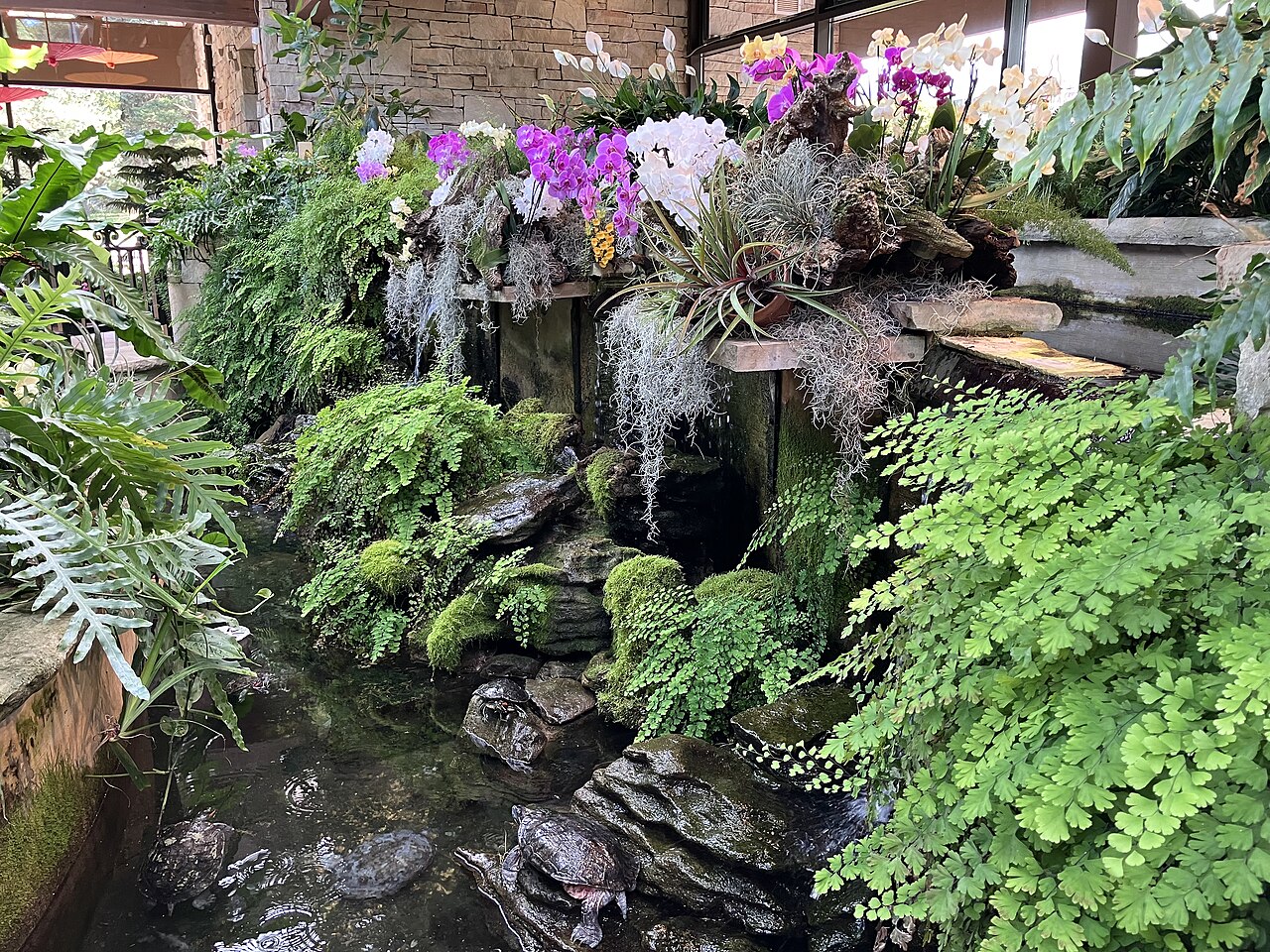 Niagara Parks Floral Showhouse, Niagara Falls, Ontario