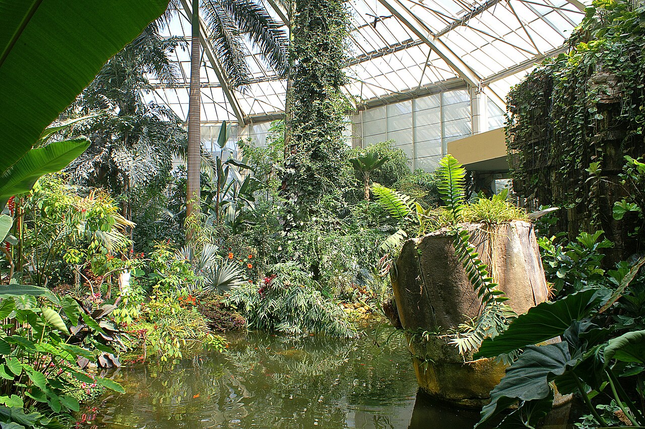 Großes Tropengewächshaus des Parc Phœnix („Grüner Diamant“), Nizza, Provence-Alpes-Côte d'Azur