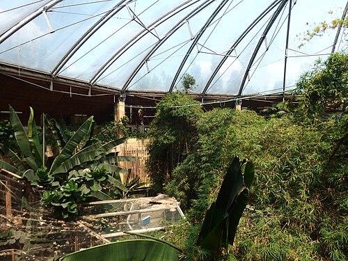 Grüne Pyramide, Zoo Nyíregyháza (Zöld Piramis: Esőerdőház und Óceanárium), Nyíregyháza (Sóstó)
