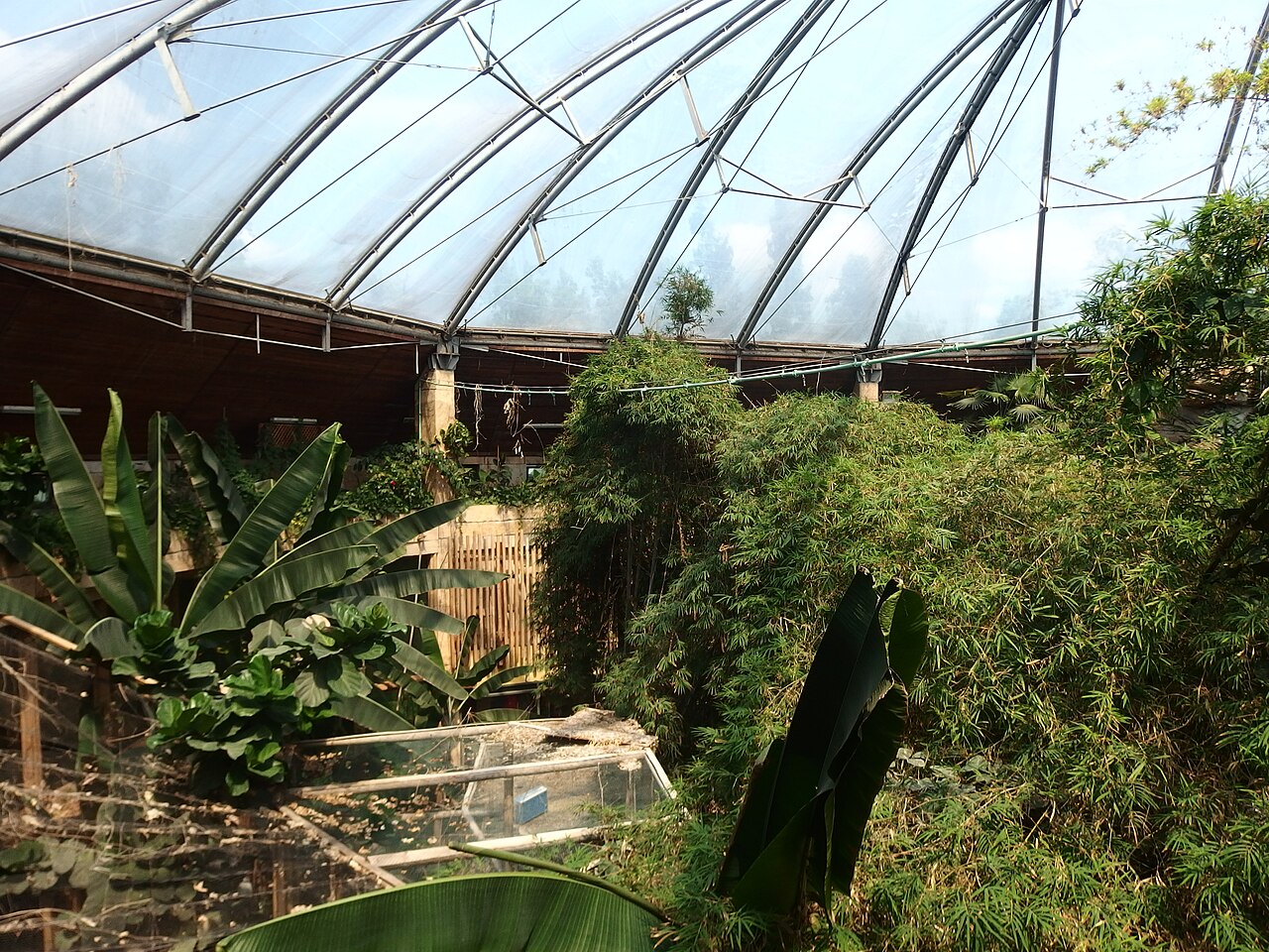 Grüne Pyramide, Zoo Nyíregyháza (Zöld Piramis: Esőerdőház und Óceanárium), Nyíregyháza (Sóstó), Komitat Szabolcs-Szatmár-Bereg