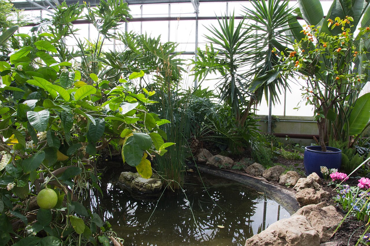 Städtisches Gewächshaus und Wintergarten von Oakville (Oakville Municipal Greenhouse and Conservatory), Oakville, Ontario