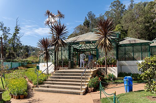 Glass House, Government Botanical Garden, Ooty (Udhagamandalam), Tamil Nadu