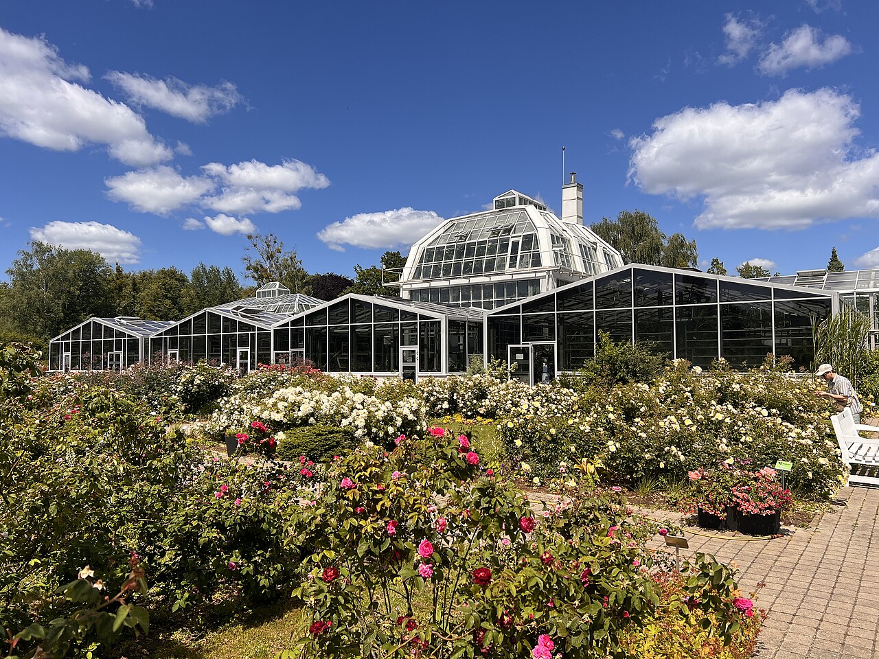 Oranžerija du Jardin botanique de Kaunas, Kaunas