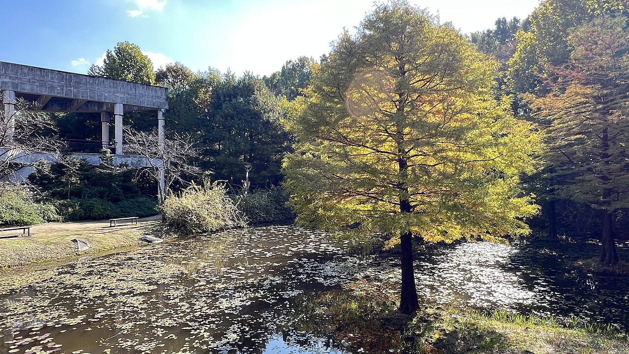 Serre Goutte d'eau de l'arboretum Mulhyanggi (물향기수목원 물방울온실), Osan (Sucheong-dong), Gyeonggi