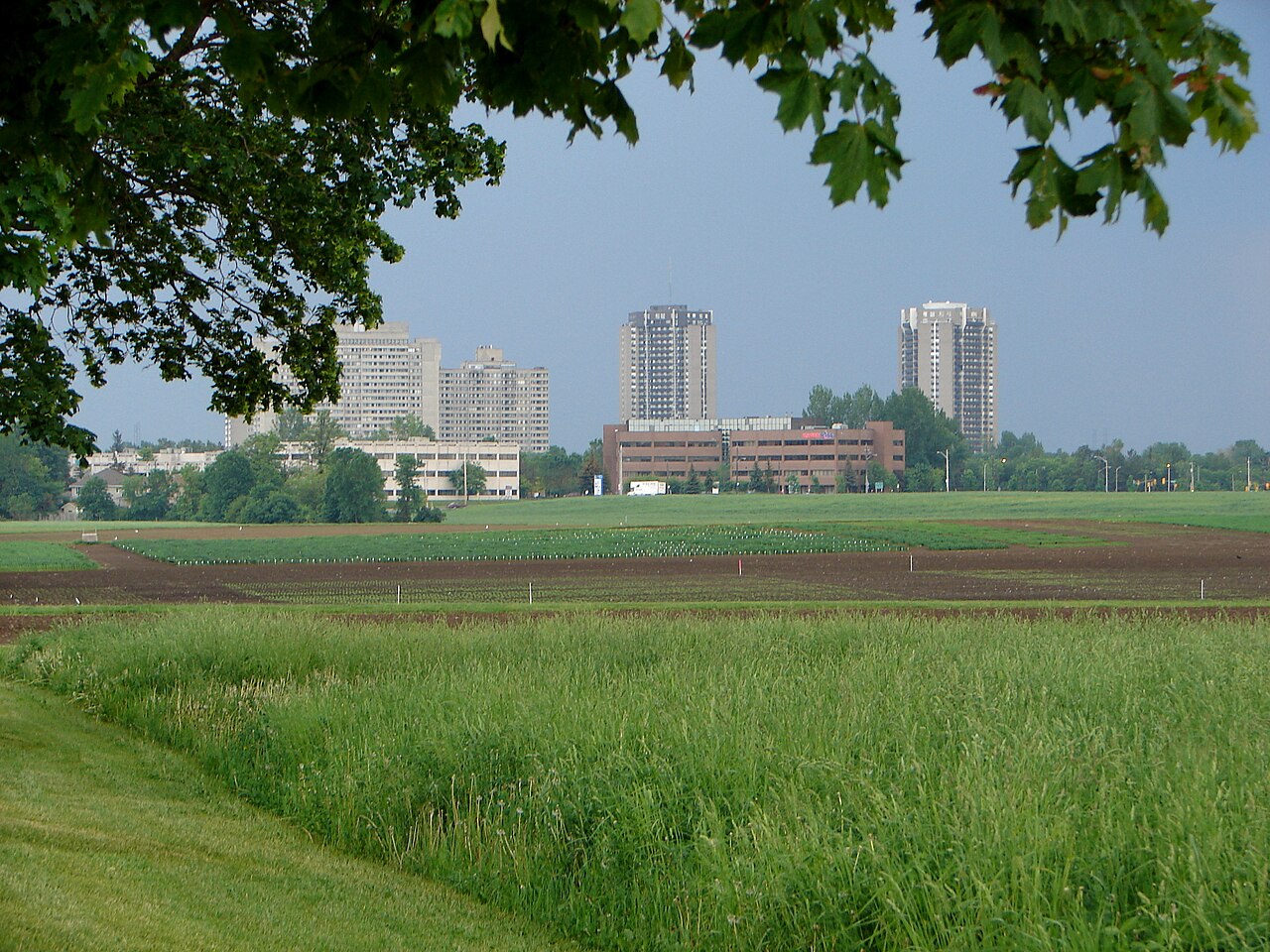 Serre tropicale de la Ferme expérimentale centrale, Ottawa, Ontario