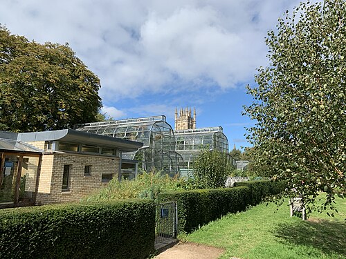 Gewächshäuser des Oxford Botanic Garden (Universität Oxford), Oxford, Oxfordshire