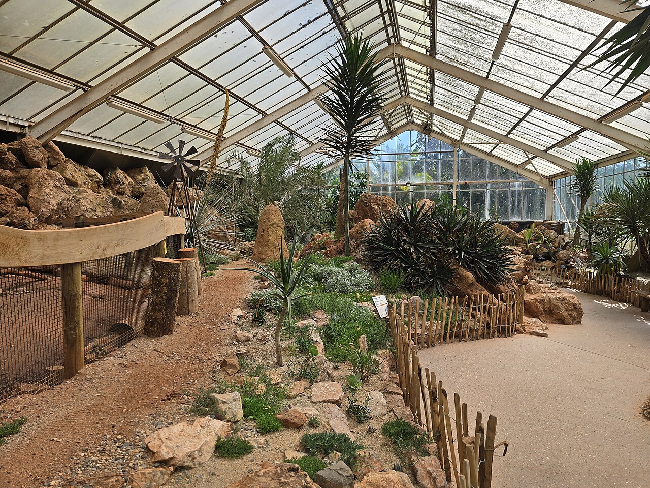 パイントン動物園の温室（トロピックスとデザーツ）, パイントン動物園、トットネス・ロード、パイントン（トーベイ、デヴォン州）