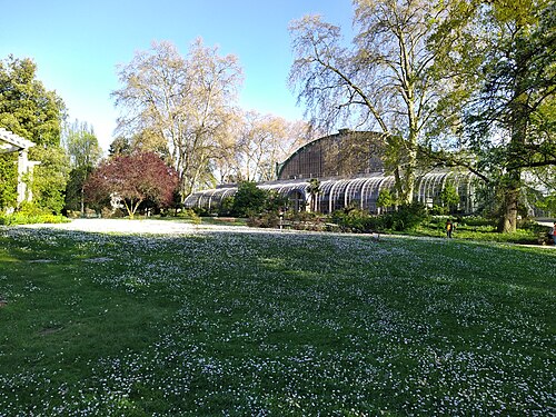 Palmengarten, Francfort-sur-le-Main
