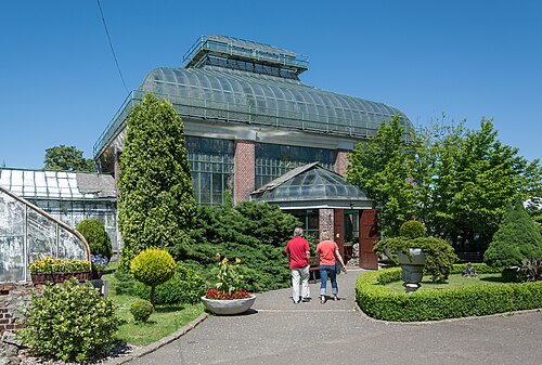 Palmiarnia w Wałbrzychu, Wałbrzych