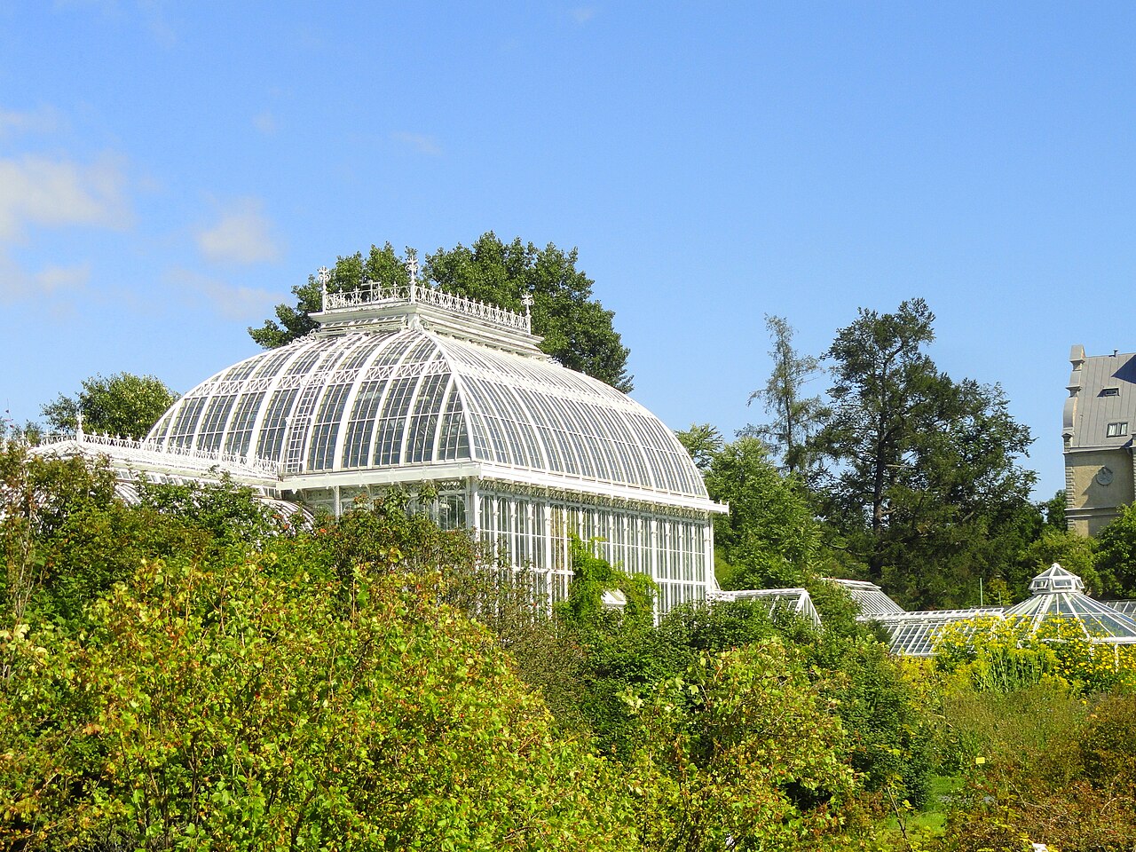 Palmusali (Kaisaniemen kasvitieteellinen puutarha), Jardin botanique de Kaisaniemi, Helsinki