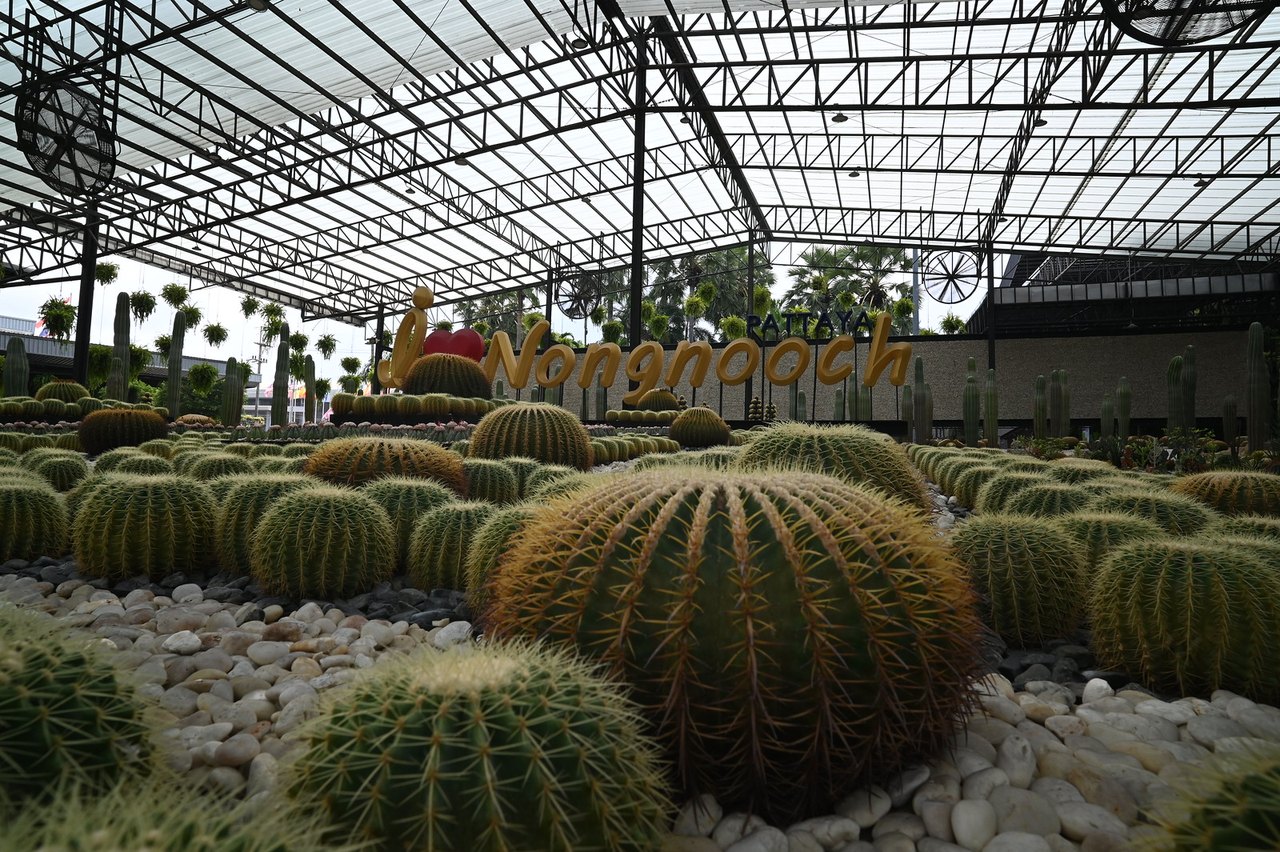 Garden in the Sky und Kakteengewächshaus, Nong Nooch Tropical Garden, Bei Pattaya, Provinz Chonburi