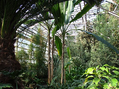 北部植物園のウィンターガーデンとオランジェリー（Severny Botanichesky Sad）, 北カザフスタン州ペトロパヴル