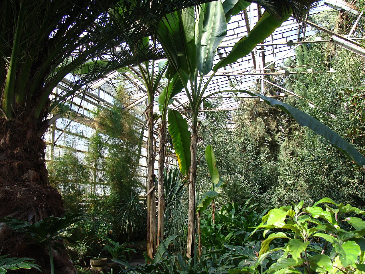 北部植物園のウィンターガーデンとオランジェリー(Severny Botanichesky Sad), 北カザフスタン州ペトロパヴル