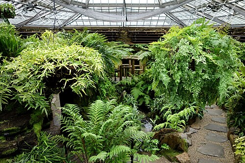 Dorrance H. Hamilton Fernery, Morris Arboretum, Philadelphia, Pennsylvania