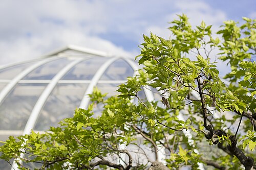 Phipps Conservatory, Pittsburgh