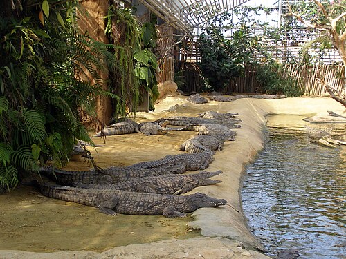 Tropengewächshaus von La Ferme aux crocodiles, Pierrelatte, Auvergne-Rhône-Alpes