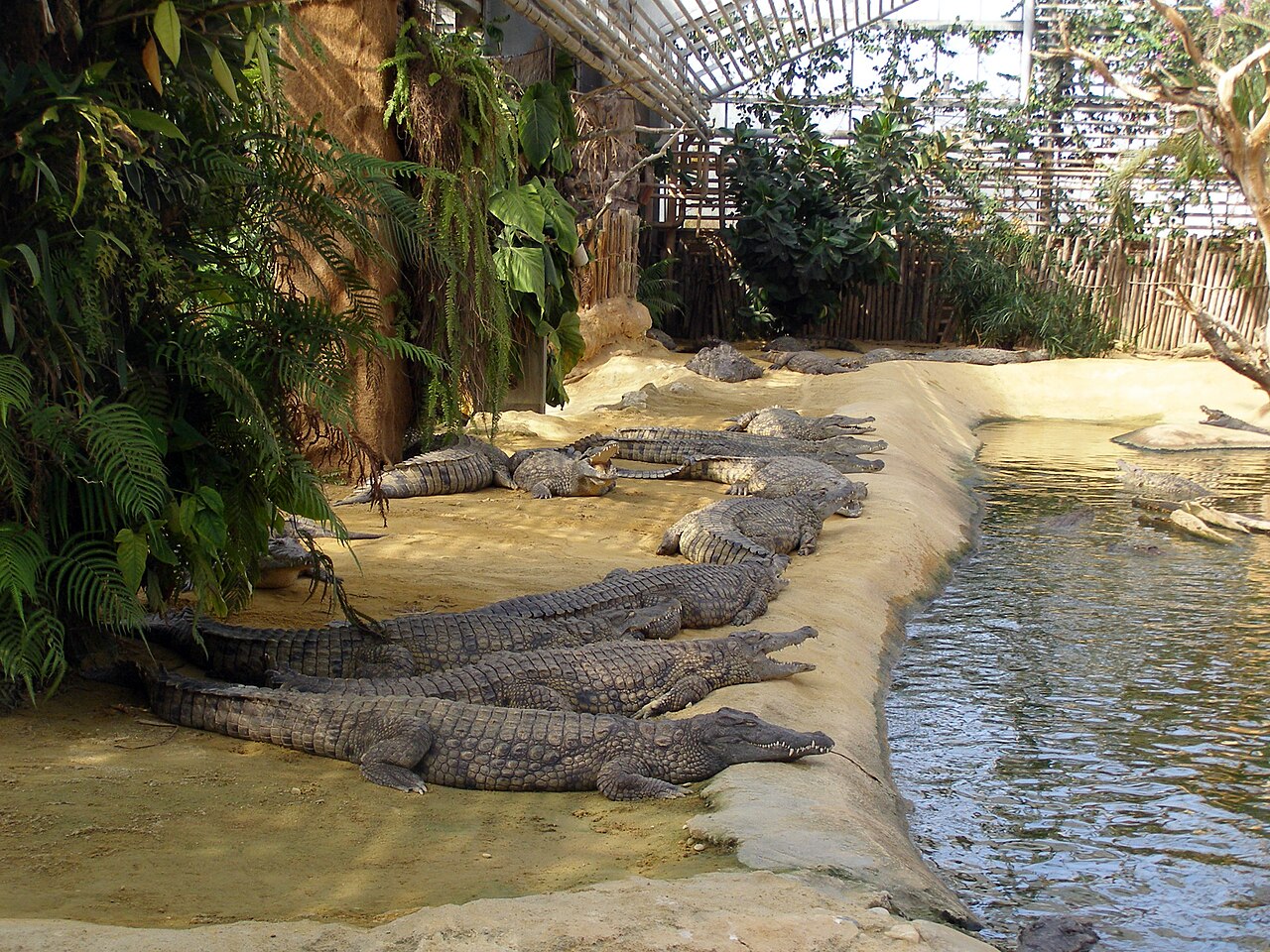 Tropengewächshaus von La Ferme aux crocodiles, Pierrelatte, Auvergne-Rhône-Alpes