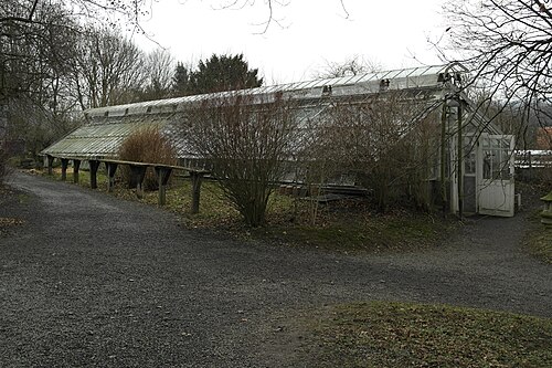 ツシェンドルフ城の温室群（Kamelienschloss）, ザクセン州ピルナ（ツシェンドルフ）