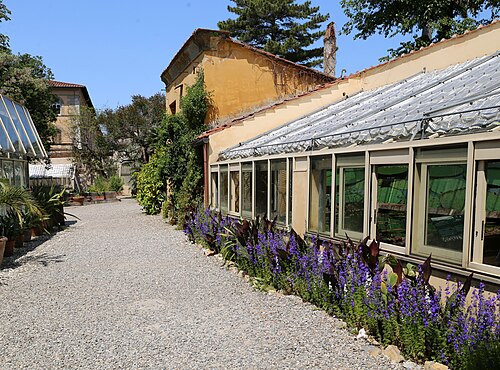Gewächshäuser des Orto e Museo Botanico der Universität Pisa, Pisa, Toskana