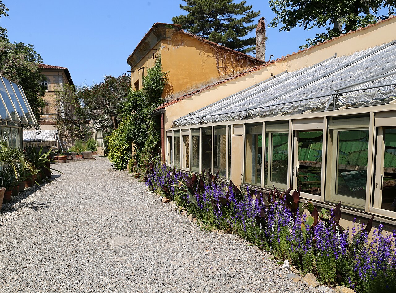 Gewächshäuser des Orto e Museo Botanico der Universität Pisa, Pisa, Toskana