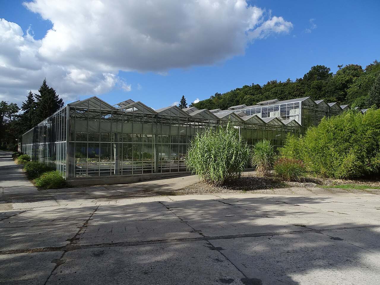 Tropische Gewächshäuser des Botanischen Gartens Malešice (SOŠ Jarov), Prag, Malešice