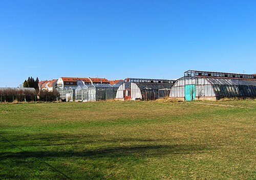 Gewächshäuser des Botanischen Gartens der Fakultät für Tropische Landwirtschaft (ČZU, Suchdol), Prag