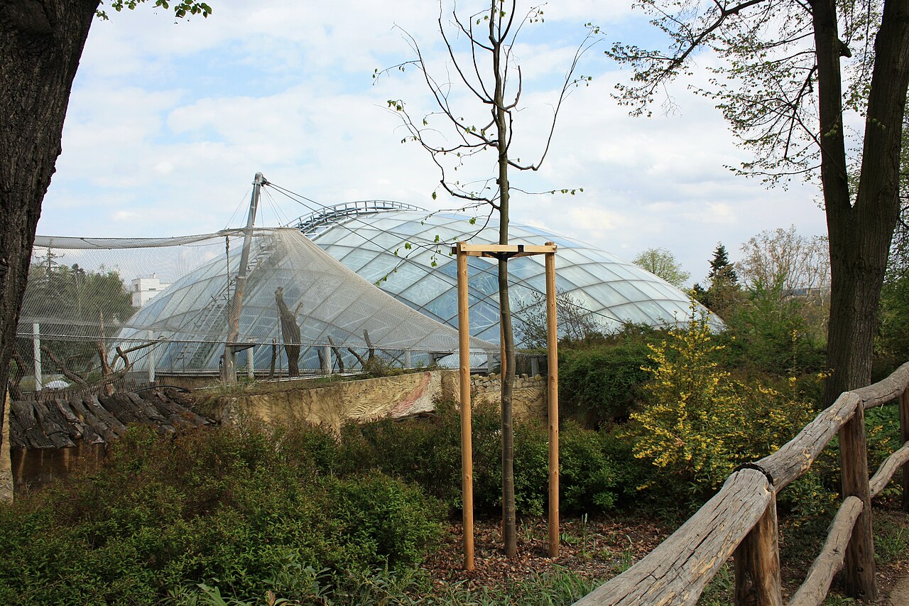 Pavillon Indonesischer Dschungel (Indonéská džungle), Zoo Prag, Prag, Troja