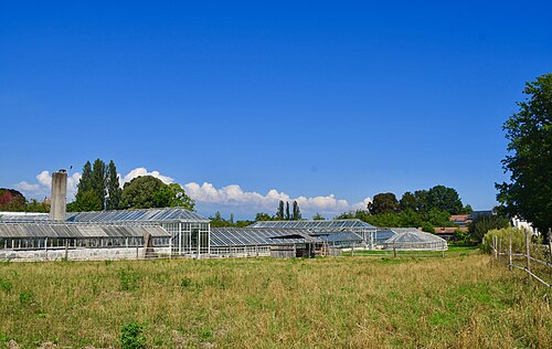 Gewächshäuser von Pregny (Reservegewächshäuser des Conservatoire et Jardin botaniques de Genève), Pregny-Chambésy