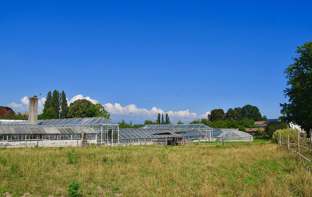 Gewächshäuser von Pregny (Reservegewächshäuser des Conservatoire et Jardin botaniques de Genève), Pregny-Chambésy, Kanton Genf