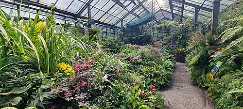 Fernery de Pukekura Park, New Plymouth