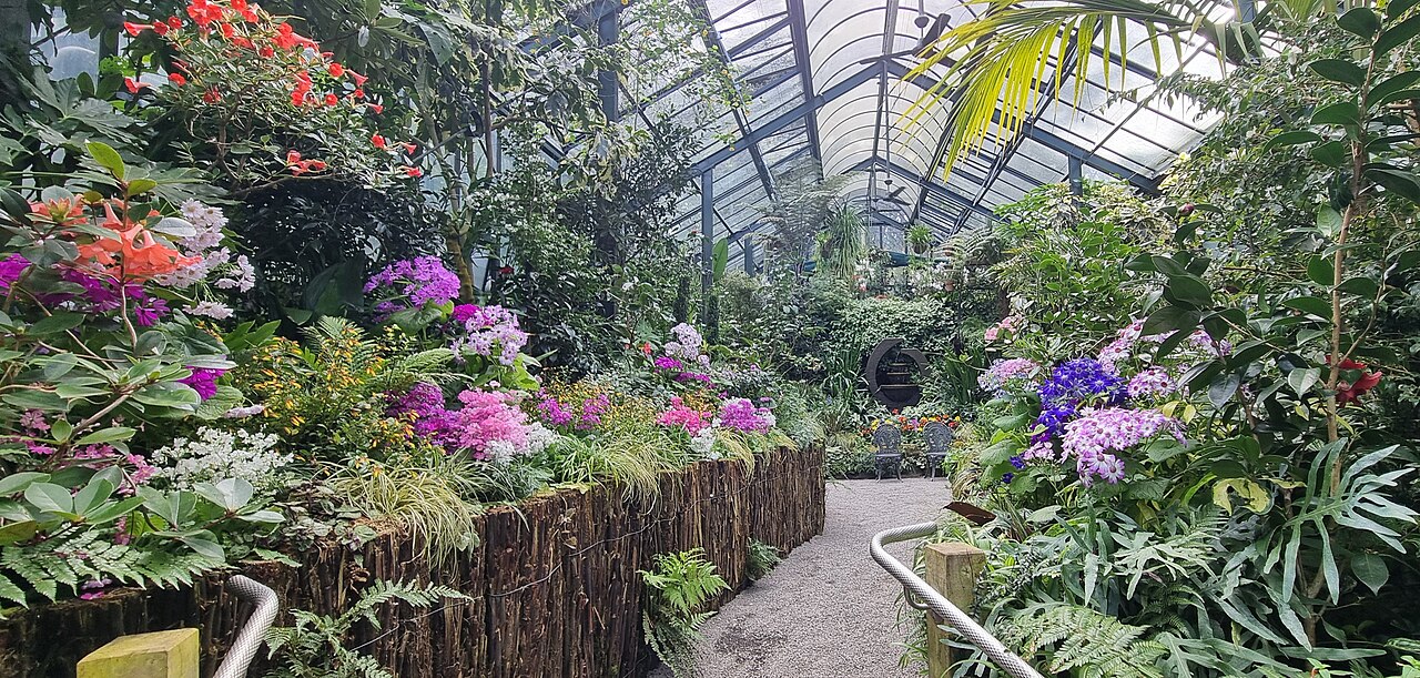 プケクラ公園のシダ園と展示温室, タラナキ地方ニュープリマスのプケクラ公園