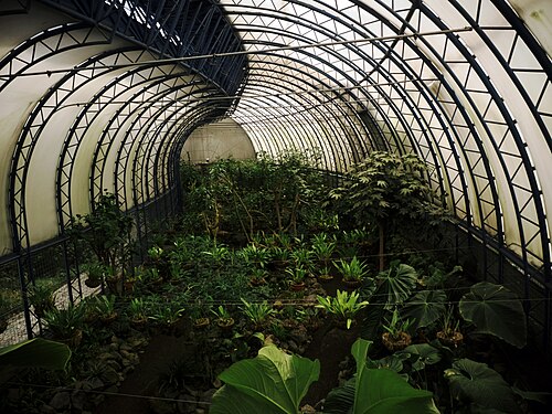 Orquideario du Jardin botanique de Quito, Quito, Pichincha