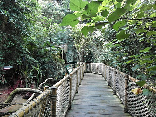 Regenwaldhaus, Tiergarten Schönbrunn (zoo de Vienne)