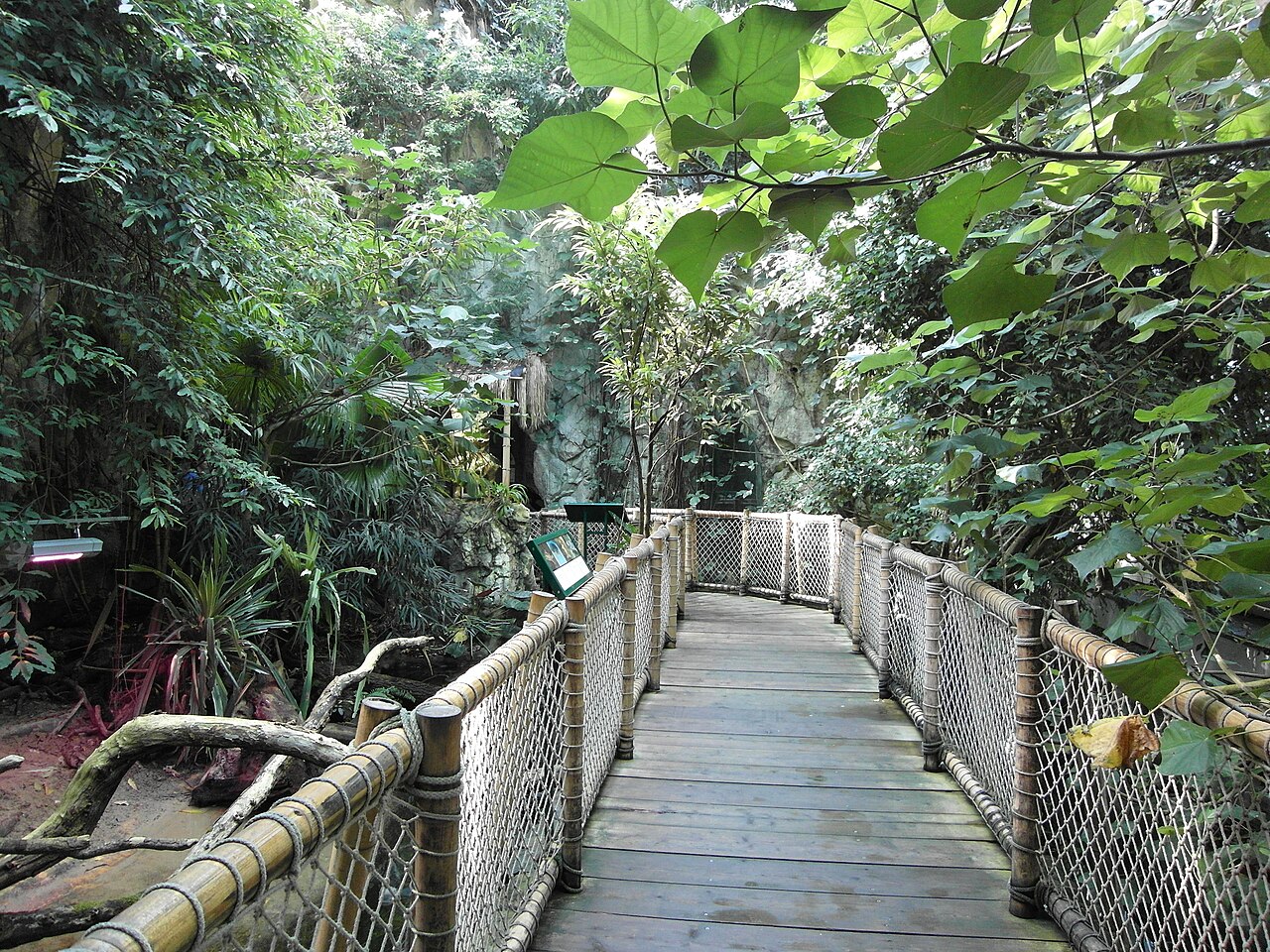 Regenwaldhaus, Tiergarten Schönbrunn (zoo de Vienne)