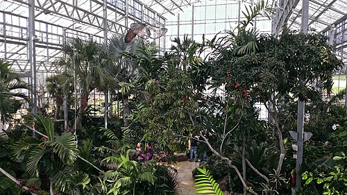 Nicholas Conservatory & Gardens, Rockford, Illinois