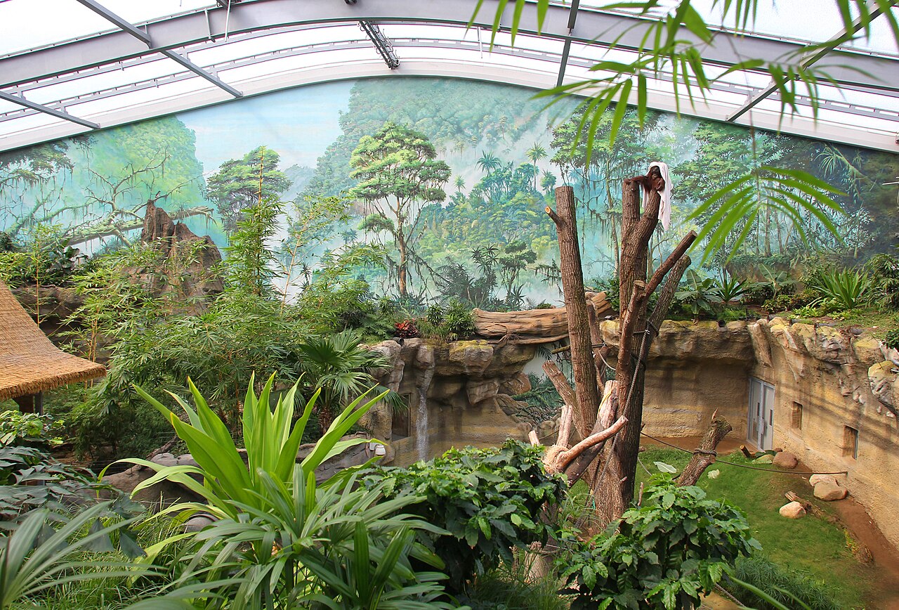 Tropenhalle des Darwineums, Zoo Rostock, Rostock, Mecklenburg-Vorpommern