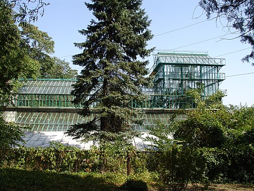 Orangerien des Botanischen Gartens der Südlichen Föderalen Universität (Oranzherei Botanicheskogo Sada YuFU), Rostow am Don