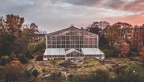 Orangerien des Botanischen Gartens der Staatlichen Universität Sankt Petersburg (Botanichesky Sad SPbGU), Sankt Petersburg