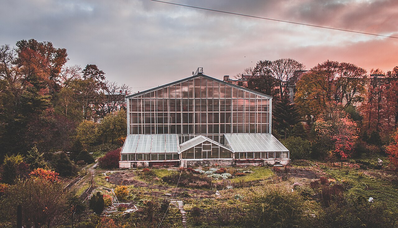 Orangerien des Botanischen Gartens der Staatlichen Universität Sankt Petersburg (Botanichesky Sad SPbGU), Sankt Petersburg, Wassiljewski-Insel