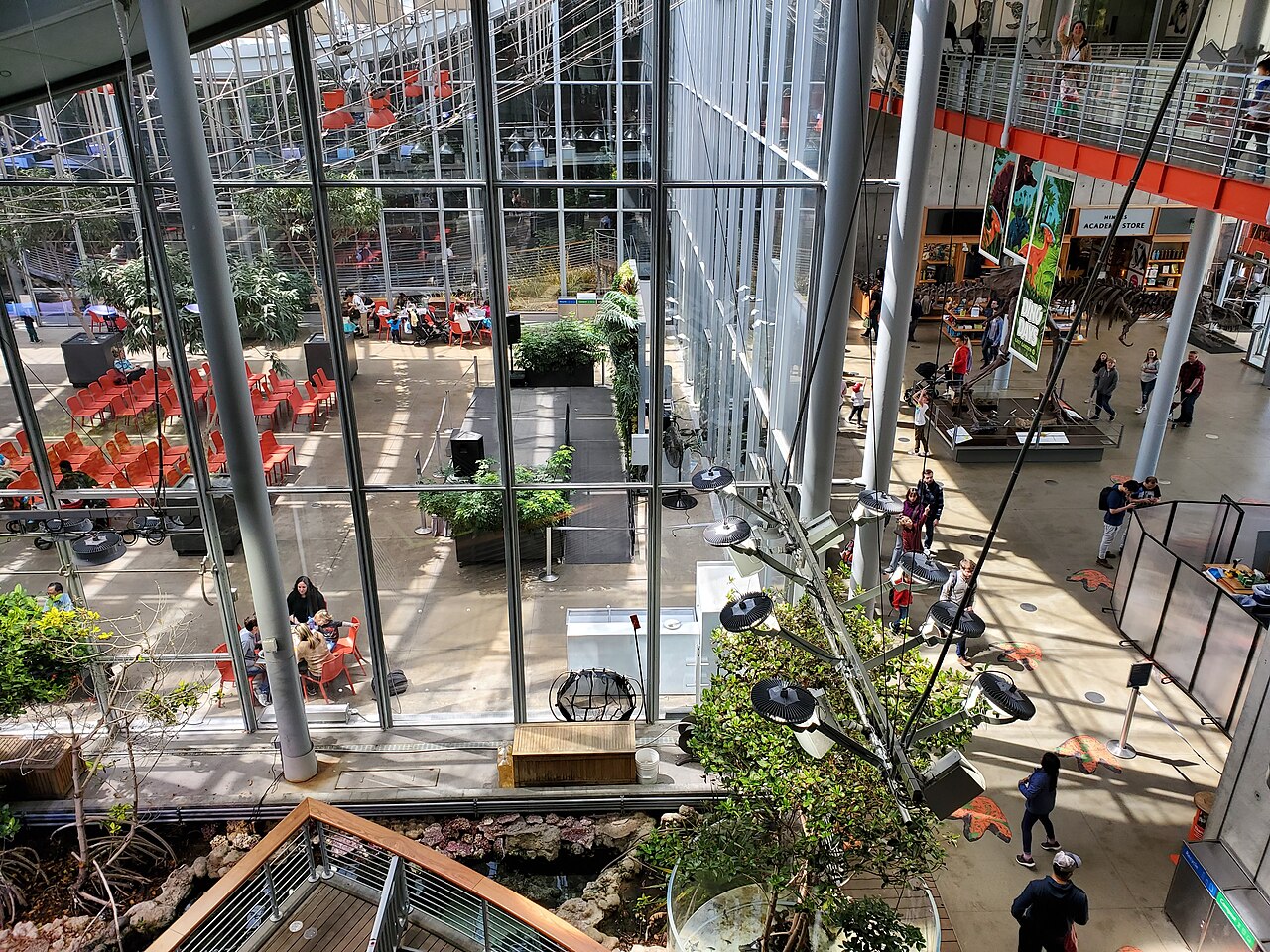 Osher Rainforest (California Academy of Sciences), San Francisco, Californie