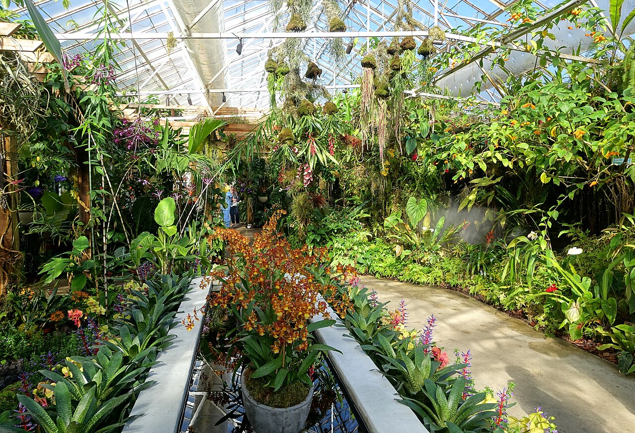 マリー・セルビー植物園の熱帯温室, フロリダ州サラソタ