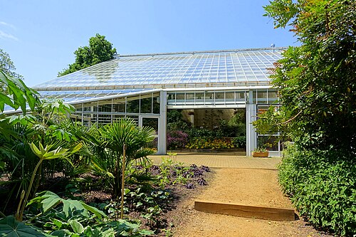 Queen Elizabeth Temperate House (Savill Garden), Windsor Great Park, Englefield Green (Surrey)