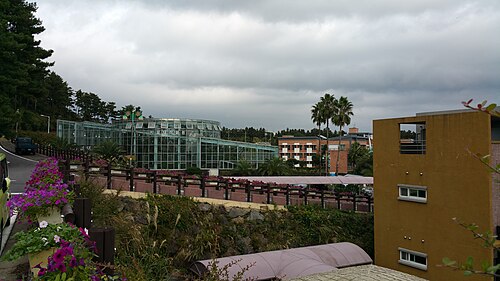 Subtropischer Botanischer Garten, Zitrusmuseum Seogwipo (감귤박물관 아열대식물원), Seogwipo (Sinhyo-dong), Jeju
