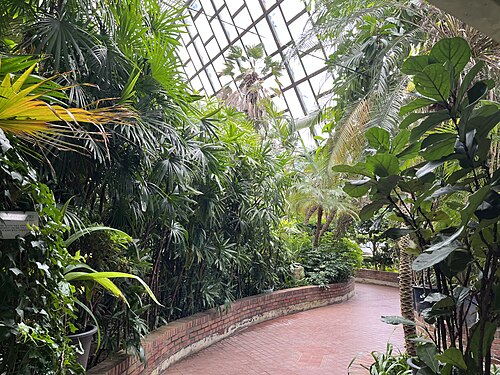 Gewächshaus des Botanischen Gartens, Seoul Children's Grand Park (서울어린이대공원 식물원), Seoul (Gwangjin-gu)