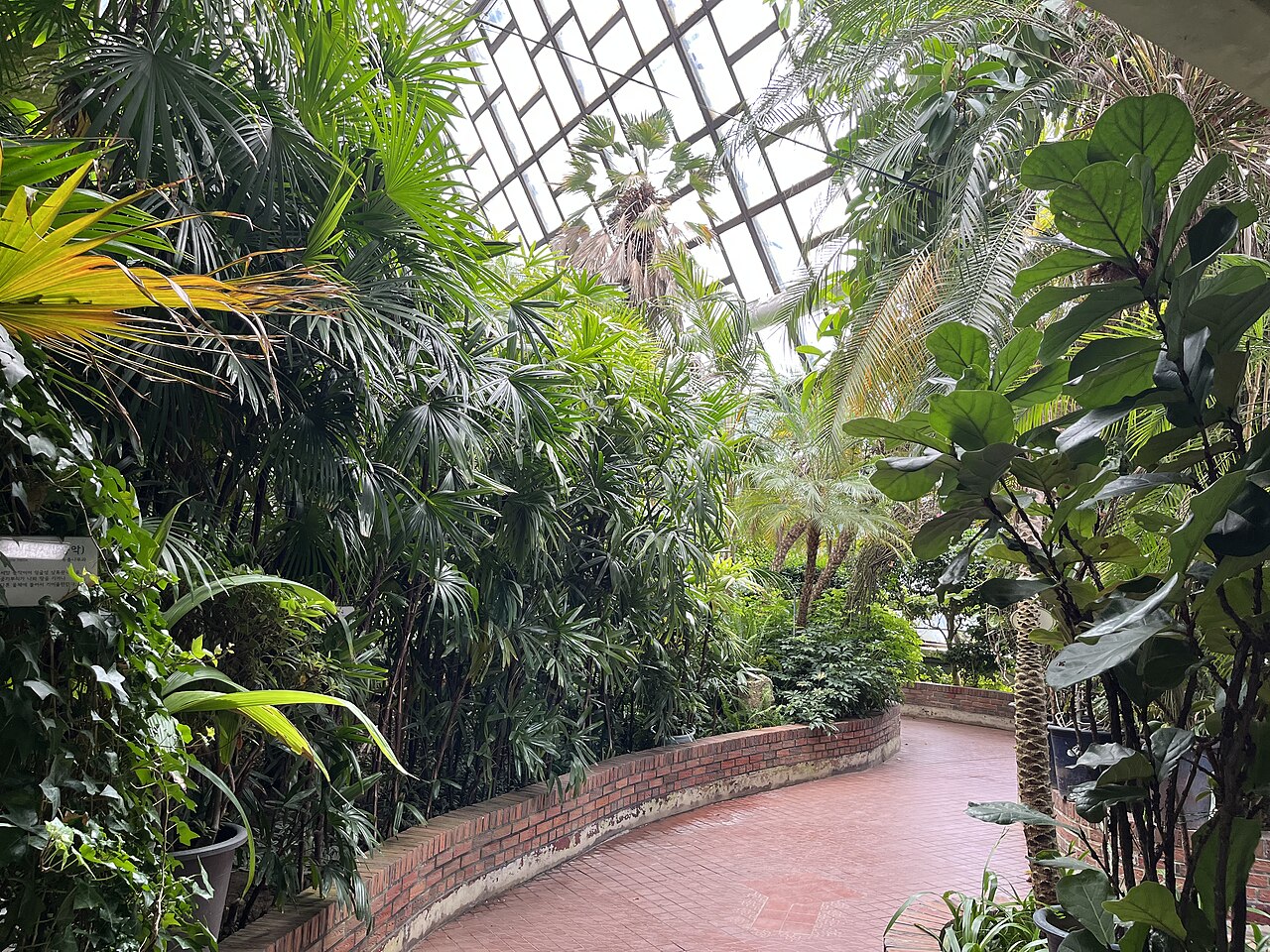 Gewächshaus des Botanischen Gartens, Seoul Children's Grand Park (서울어린이대공원 식물원), Seoul (Gwangjin-gu)