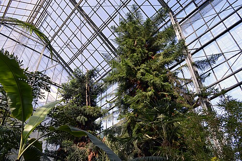 Complexe des serres du Jardin botanique de Cluj-Napoca, Cluj-Napoca
