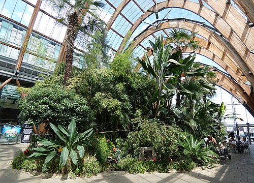 Sheffield Winter Garden, Sheffield