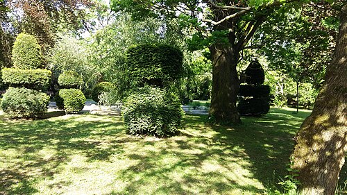 Serre tropicale du Jardin botanique de l'Université Comenius, Bratislava